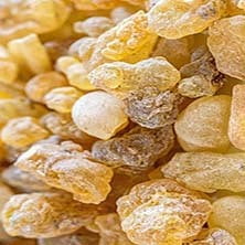 Frankincense Resin - Boswellia Carterii